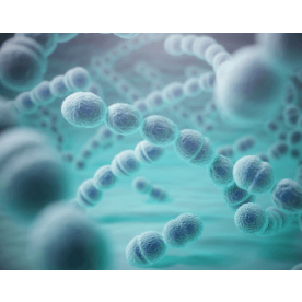 Išorinė kokybės kontrolė Infekcijos serologija - Helicobacter pylori antikūnai