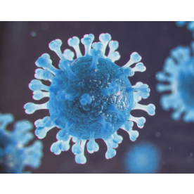 Išorinė kokybės kontrolė Virusų imunologija - SARS-CoV-2 antikūnai