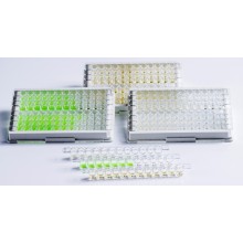 NG Biotech, NGB-CAR-S23-002