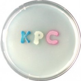CHROMagar KPC