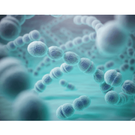  External quality control Infection Serology – Mycoplasma pneumoniae Antibodies