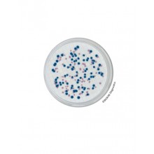 Interlab, Biokar diagnostics, BK204HA