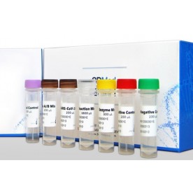 FAST SARS-CoV-2 RT-qPCR kit (30 min)