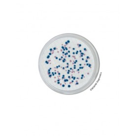 CHROMOGENIC COLIFORM AGAR (CCA)