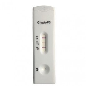 Cryptococcus Ag rapid test