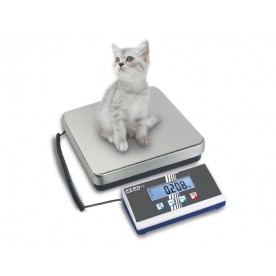 EOB 300K100A platform scale