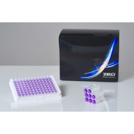 Explorer 2.0 test kit