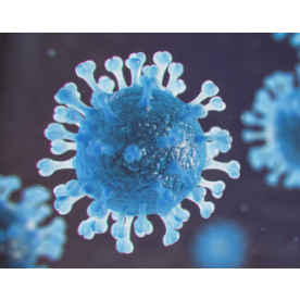 External quality control Virus Immunology – Tick-Borne Encephalitis Virus antibodies