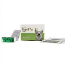 Hangzhou Immuno Biotech Co., Ltd., JCA033D