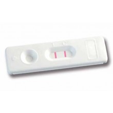 Megacor, 117001RM1
