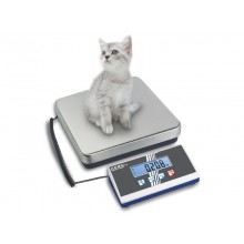 EOB platform scale