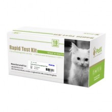 Hangzhou Immuno Biotech Co., Ltd., JCA110C