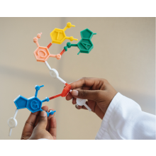 Interlab, INSTAND, Hormones