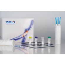 ZE/PR/GL10, zeulab