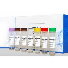 Interlab, SARS-CoV-2 RT-qPCR kit (30 min), 