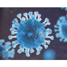 Interlab, INSTAND, Virology