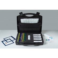 ZE/PR/P10SW, Zeulab